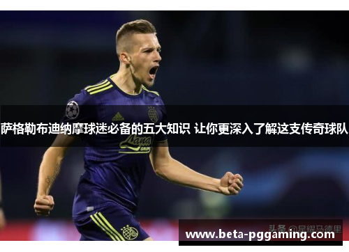 萨格勒布迪纳摩球迷必备的五大知识 让你更深入了解这支传奇球队 萨格勒布迪纳摩球迷必备的五大知识 让你更深入了解这支传奇球队