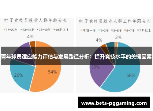 青年球员适应能力评估与发展路径分析：提升竞技水平的关键因素