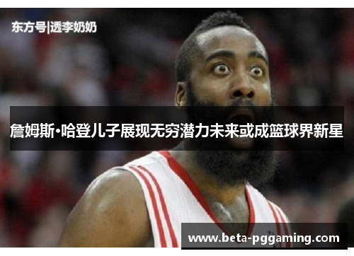 詹姆斯·哈登儿子展现无穷潜力未来或成篮球界新星 詹姆斯·哈登儿子展现无穷潜力未来或成篮球界新星