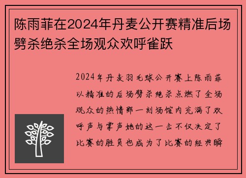陈雨菲在2024年丹麦公开赛精准后场劈杀绝杀全场观众欢呼雀跃