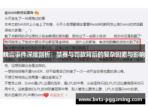 魏震事件深度剖析：禁赛与罚款背后的复杂因素与影响