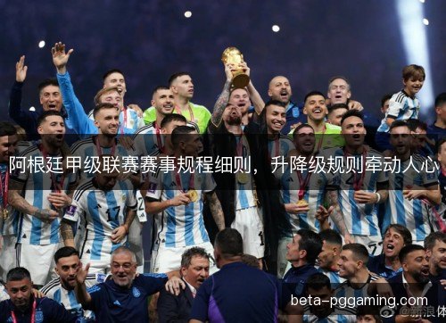 阿根廷甲级联赛赛事规程细则，升降级规则牵动人心
